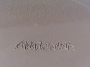 10404035 290062131162249 2406318950376208560 o