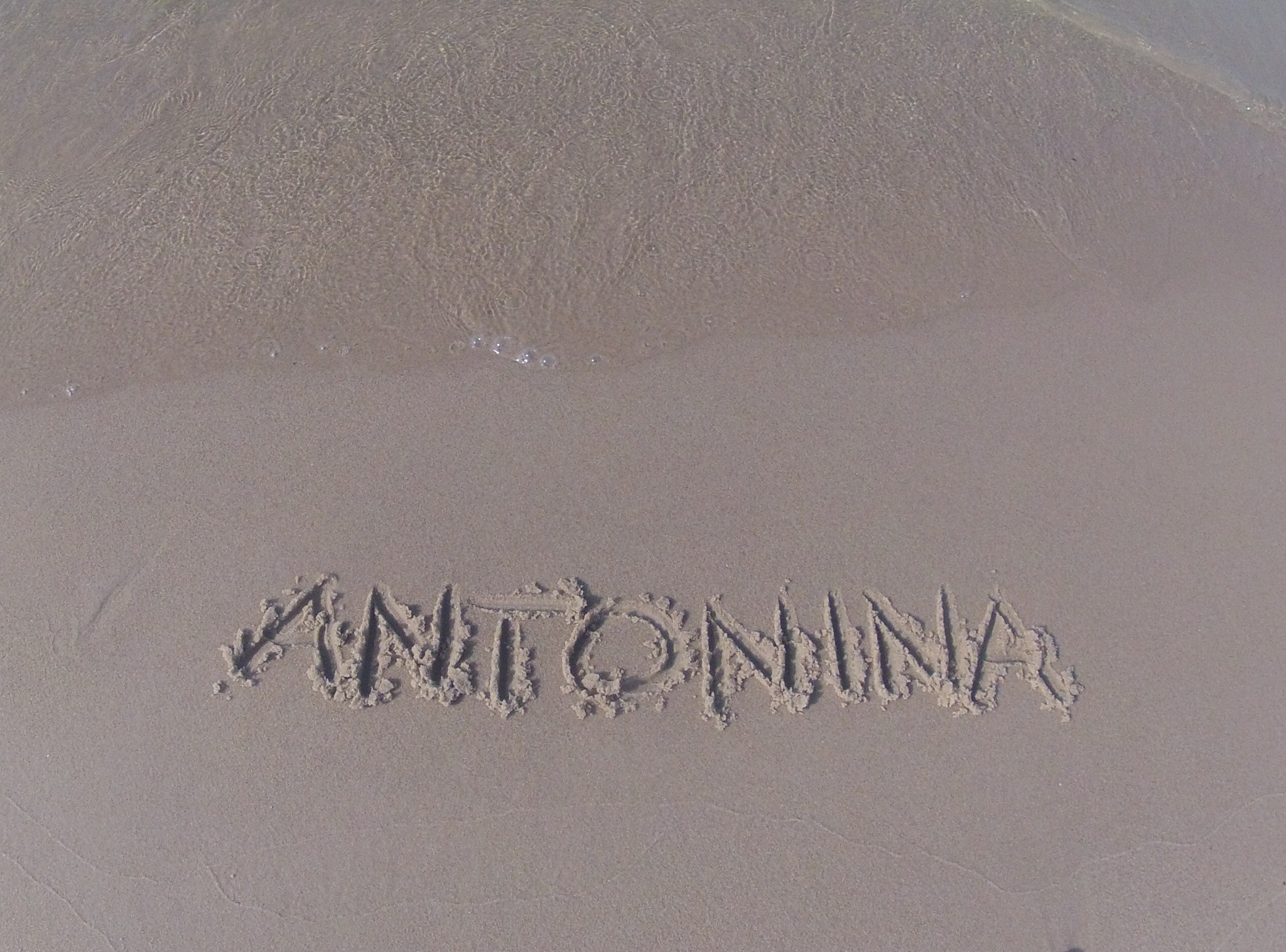 10404035 290062131162249 2406318950376208560 o