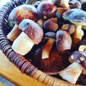 21167392 835108186657638 314117183541174988 o