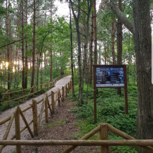 82283601 1451494735018977 8960939407536291840 n