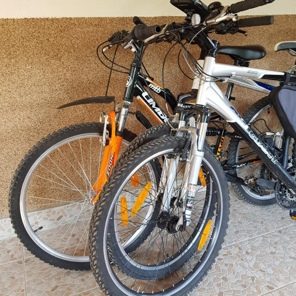 82835330 1451494645018986 2085568297109028864 n