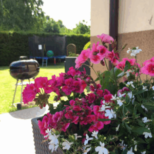 antonina dębki pokoje gościnne (4)