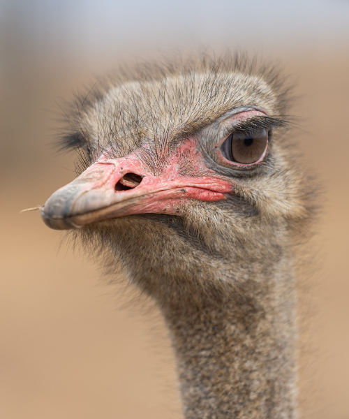 projekt bez nazwy 2025 07 15t232407.111