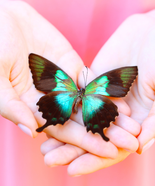 projekt bez nazwy 2025 07 15t233320.405