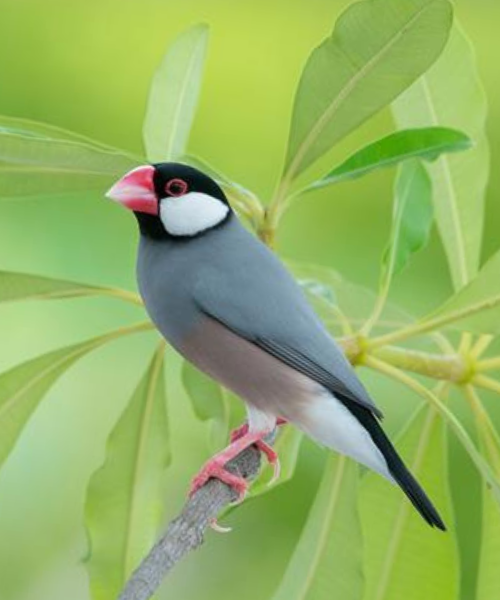 projekt bez nazwy 2025 07 15t235030.278