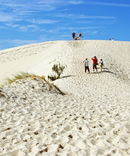 projekt bez nazwy 2025 07 16t224829.083